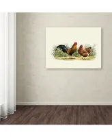 The Macneil Studio 'Cockerel And Hen Copy' Canvas Art - 14" x 19"