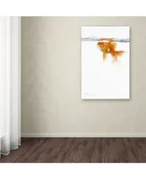 The Macneil Studio 'Goldfish' Canvas Art - 22" x 32"