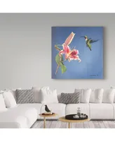 Rusty Frentner 'Hummingbird And Lily' Canvas Art - 14" x 14"