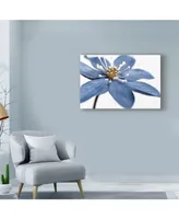 Tom Quartermaine 'Blue Flower On White' Canvas Art