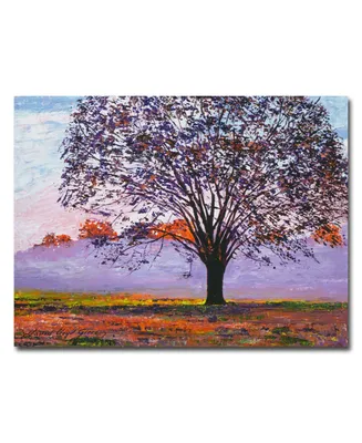 David Lloyd Glover 'Majestic Tree in Morning Mist' Canvas Art - 47" x 35"