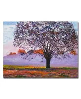 David Lloyd Glover 'Majestic Tree in Morning Mist' Canvas Art - 47" x 35"