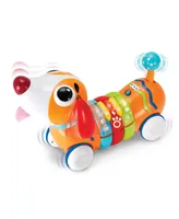 Winfun Remote Control Rainbow Pup