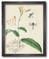 Courtside Market Canna Dragonflies I Framed Canvas Wall Art Collection