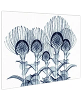 Empire Art Direct 'Nodding Pincushions' Frameless Free Floating Tempered Glass Panel Graphic Wall Art - 32" x 48''