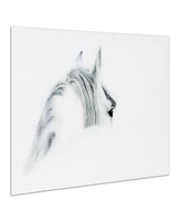 Empire Art Direct 'Blanco Mare Horse' Frameless Free Floating Tempered Glass Panel Graphic Wall Art - 48" x 32''
