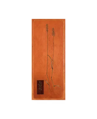 Pablo Esteban Blades of Grass on Orange Canvas Art