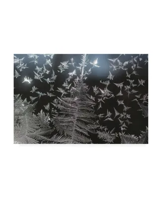 Kurt Shaffer Photographs Ice crystal patterns on my window Canvas Art