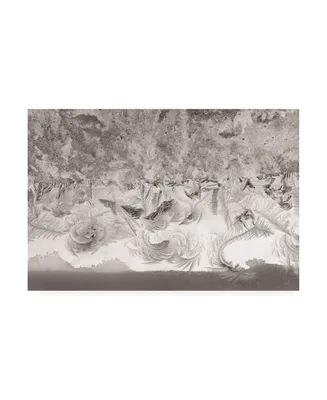 Kurt Shaffer Photographs Mosaic of ice crystals Canvas Art