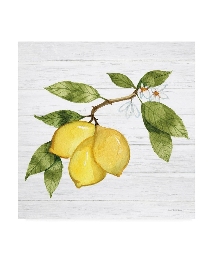 Kathleen Parr McKenna Citrus Garden I Shiplap Canvas Art