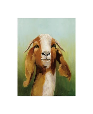 Julia Purinton Got Your Goat Canvas Art - 27" x 33.5"