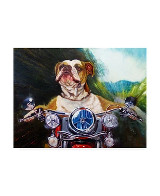 Lucia Hefferna Born to be Wild Bulldog Canvas Art - 27" x 33.5"