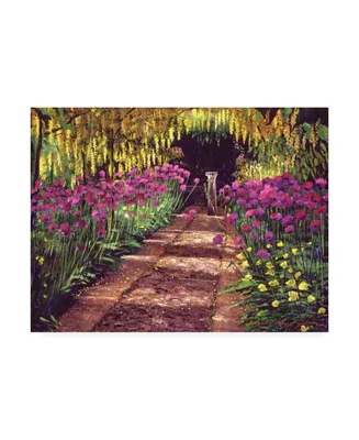 David Lloyd Glover Golden Chain Trees and Welsh Poppies Canvas Art