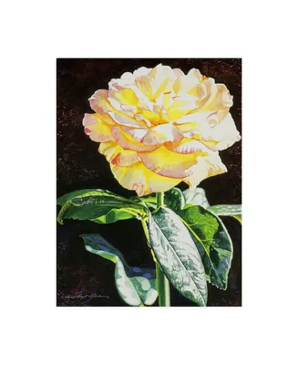 David Lloyd Glover Midnight Rose Canvas Art