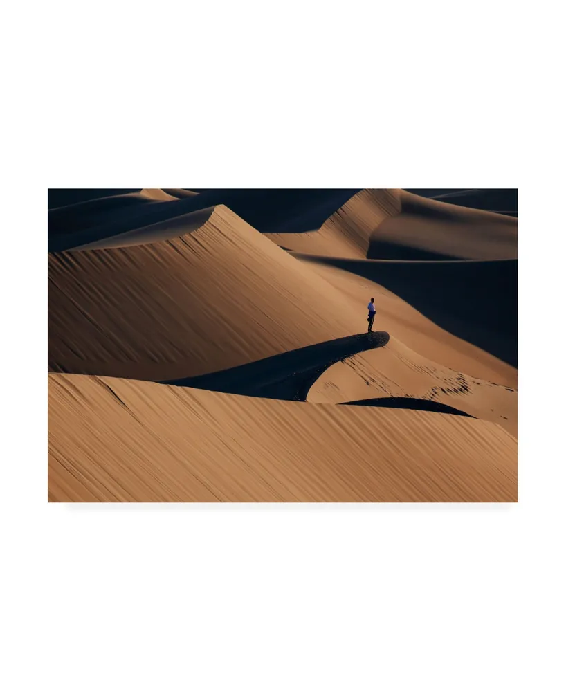 Libby Zhang Death Valley Dune Canvas Art