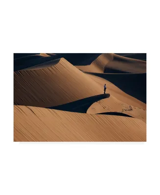 Libby Zhang Death Valley Dune Canvas Art