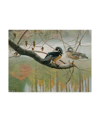 Michael Budden Colors of Autumn Duck Canvas Art - 15" x 20"