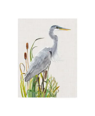 Naomi Mccavitt Water Birds and Cattails I Canvas Art - 15" x 20"