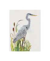 Naomi Mccavitt Water Birds and Cattails I Canvas Art - 15" x 20"