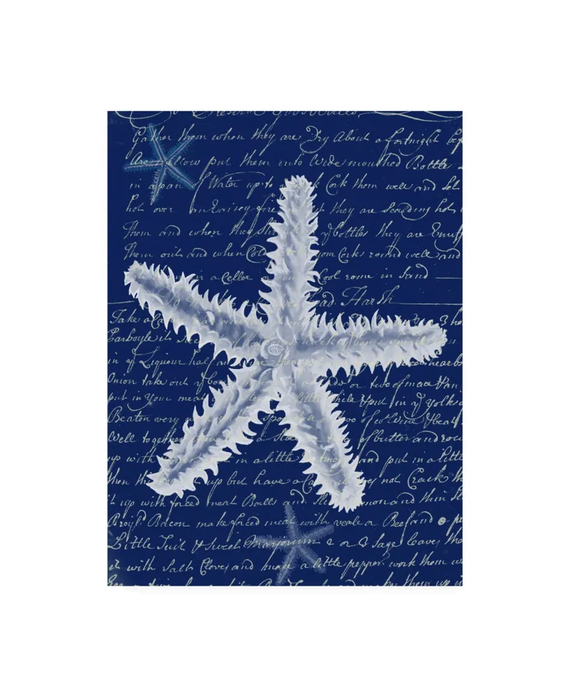 Fab Funky White Starfish on Blue B Canvas Art