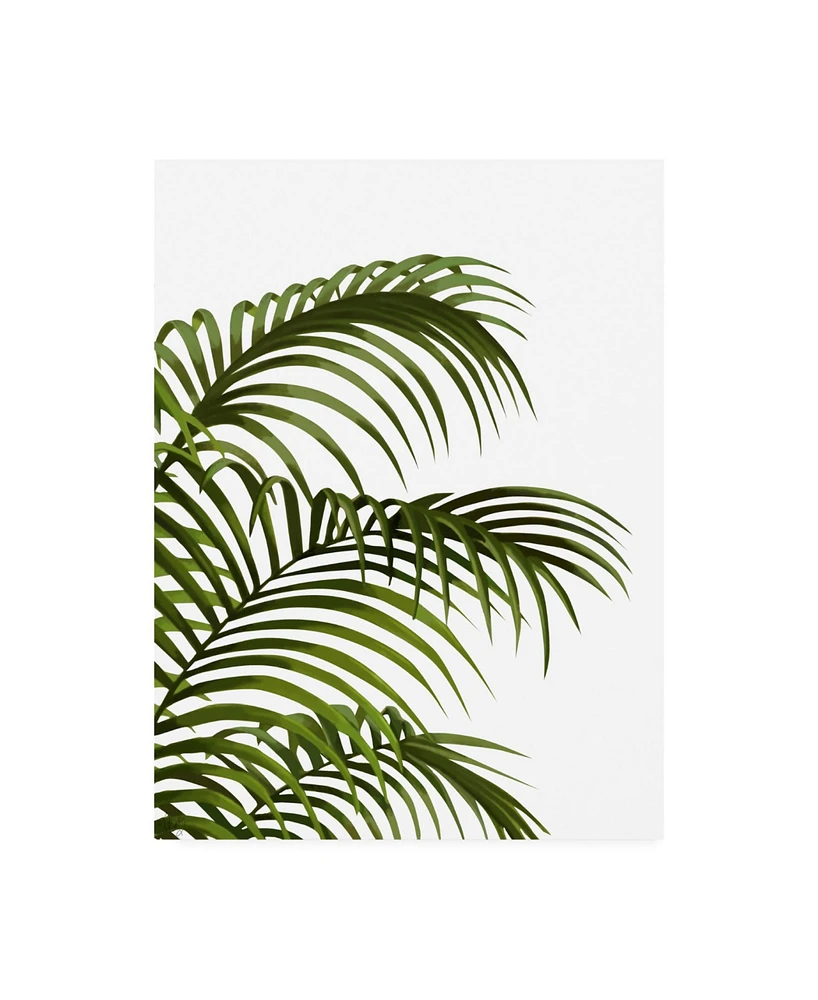 Fab Funky Palm Leaf 1, Green on White Canvas Art - 19.5" x 26"