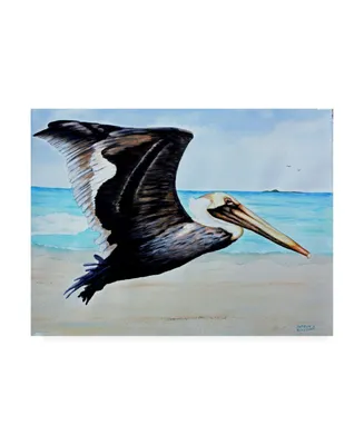 Patrick Sullivan Large Pelican Canvas Art