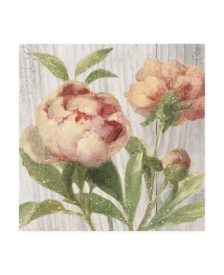 Danhui Nai Scented Cottage Florals I Canvas Art - 19.5" x 26"