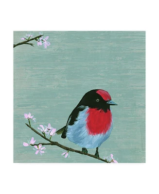 Melissa Wang Bird & Blossoms Iv Canvas Art