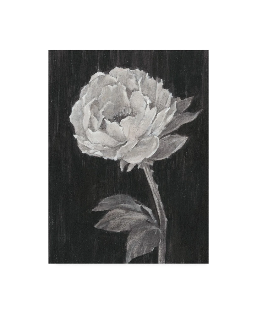 Ethan Harper Black and White Flowers Ii Canvas Art - 36.5" x 48"