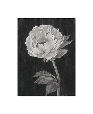 Ethan Harper Black and White Flowers Ii Canvas Art - 36.5" x 48"