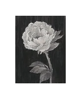 Ethan Harper Black and White Flowers Ii Canvas Art - 36.5" x 48"