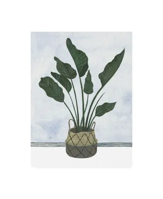 Melissa Wang Mes Plants Iii Canvas Art