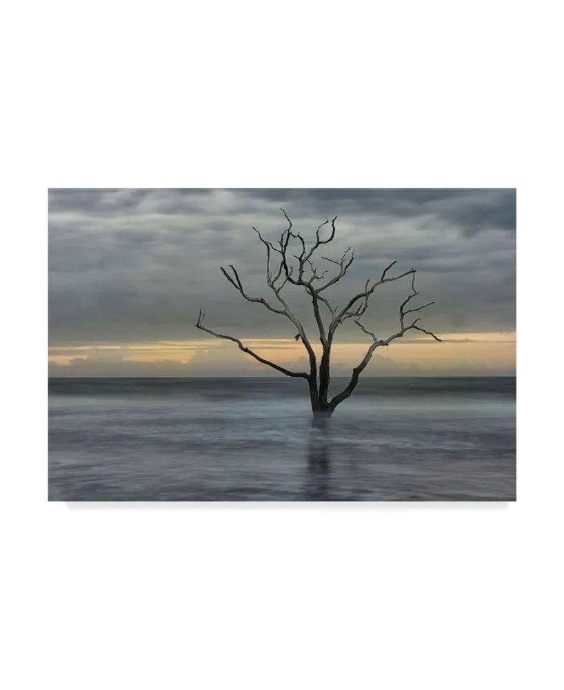 Danny Head Gray Skies Canvas Art