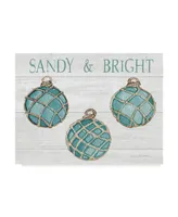 Kathleen Parr Mckenna Coastal Holiday Ornament Viii Sandy and Bright Canvas Art