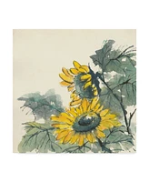 Chris Paschke Sunflower Watercolor Ii Canvas Art - 20" x 25"