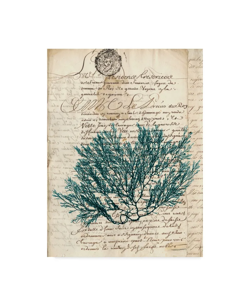 Vision Studio Vintage Teal Seaweed I Canvas Art