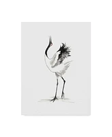 Naomi Mccavitt Japanese Cranes Iv Canvas Art - 20" x 25"