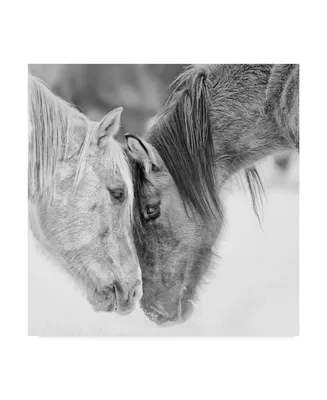 Ph Burchett Black and White Horses Vii Canvas Art