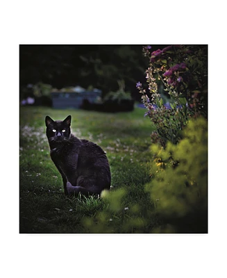 Christine Sainte-Laudy Black Cat in the Garden Canvas Art - 20" x 25"