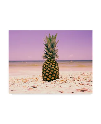 Adam Mead South Florida Pineapple I Canvas Art