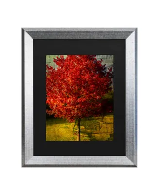 Philippe Sainte-Laudy Autumn Red Matted Framed Art