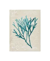 Grace Popp Teal Seaweed Iii Canvas Art - 20" x 25"