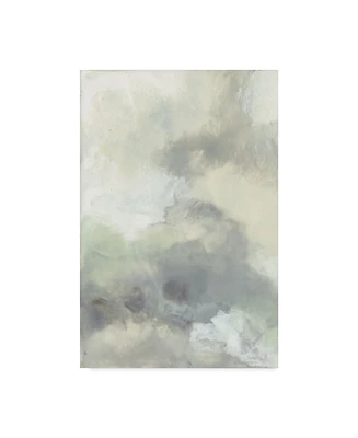 Jennifer Goldberger Cloud Impressions I Canvas Art - 20" x 25"