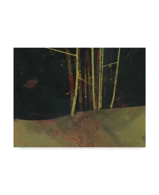 Paul Bailey Into the Dark Wood Canvas Art