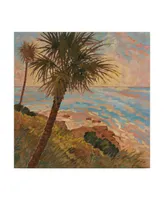 Graham Reynolds Palm Breeze Ii Canvas Art - 15" x 20"