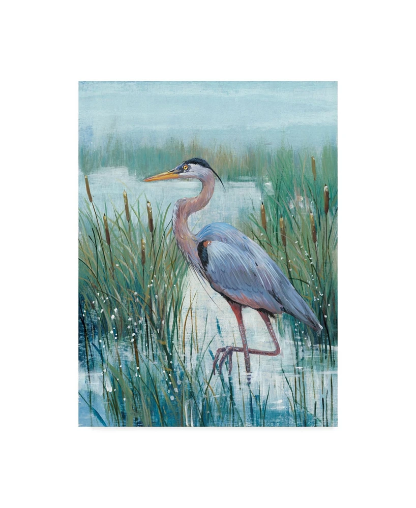 Tim Otoole Marsh Heron Ii Canvas Art - 20" x 25"