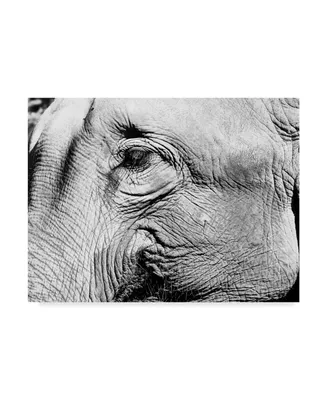 American School Elephants Eye Canvas Art