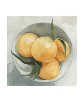 Emma Scarvey Fruit Bowl I Canvas Art - 15" x 20"