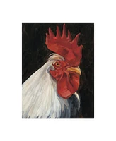 Ethan Harper Rooster Portrait I Canvas Art - 37" x 49"