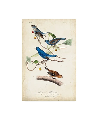 John James Audubon Indigo Bunting Birds Canvas Art - 37" x 49"